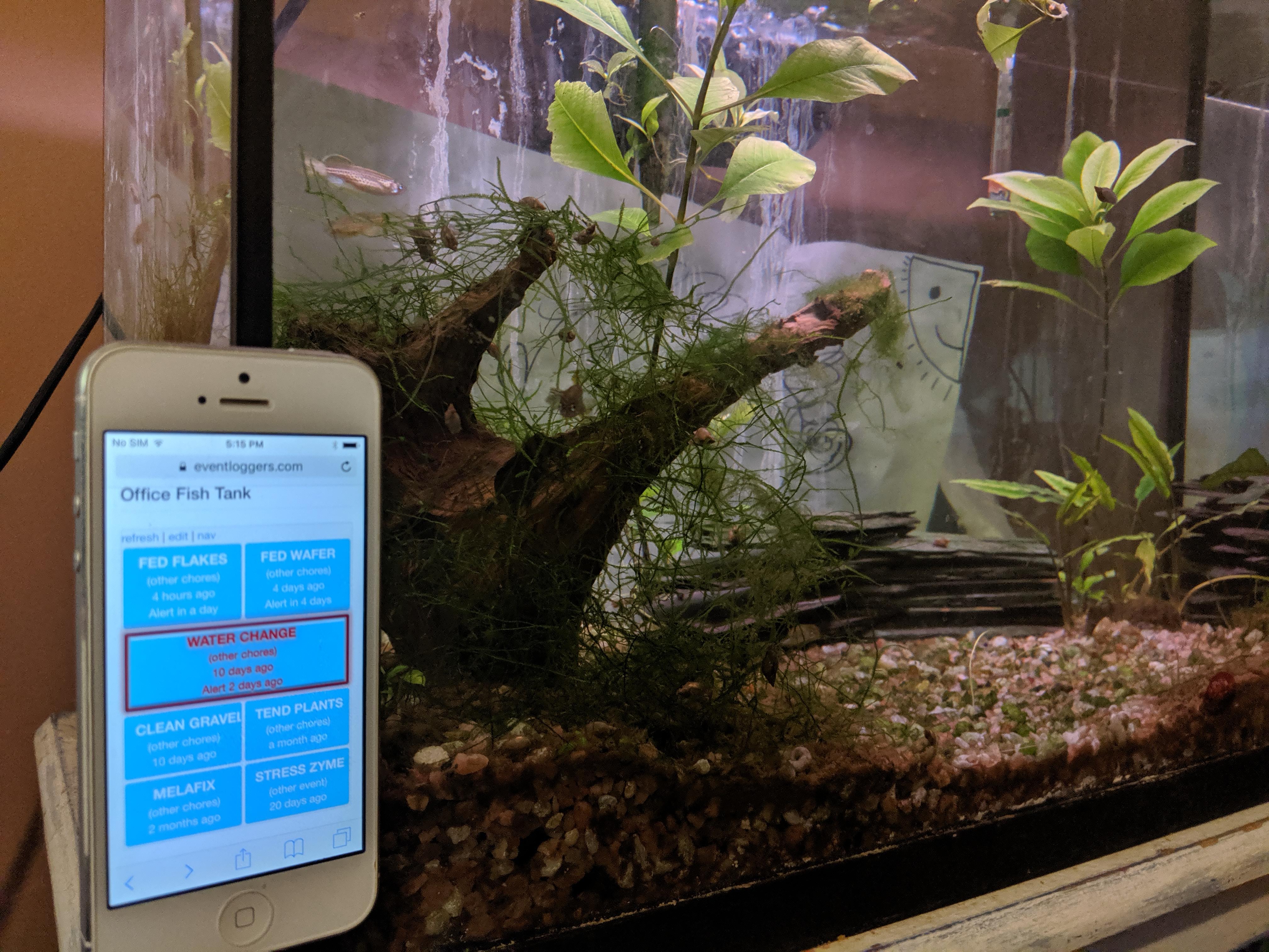 Using an old iPone 5 to track my maintenance on the office fish tank